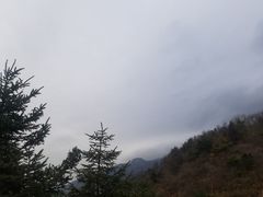 -秦岭风景区