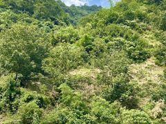 -龙井峡漂流