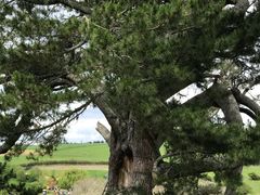 -霍比特人村