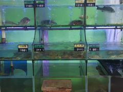 -海月湾海景餐厅( 嵊泗本地老字号店)