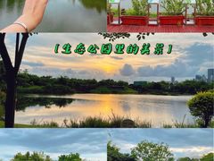 -福田红树林生态公园