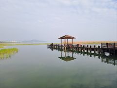 -苏州太湖湖滨国家湿地公园