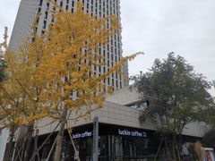 -瑞幸咖啡(AI创新中心A区店)