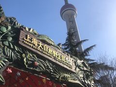 -上海大自然野生昆虫馆