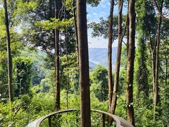 -广州市帽峰山景区