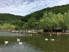 游乐设施-横山寺