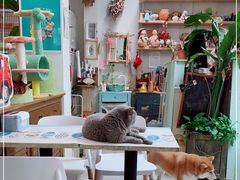 -小时光咖啡馆(北锣鼓巷店)