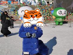 -沈阳奥体冰雪嘉年华
