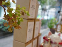 -Manner Coffee(大宁国际商业广场店)