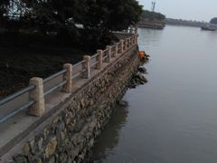 -大湾区中央湿地公园