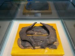 -呼伦贝尔民族博物馆