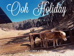 -沈阳森林动物园