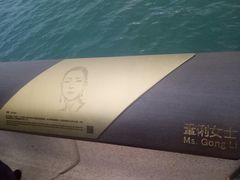 -星光大道