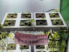 -艾克瑞特AI机器人·少儿编程·STEAM教育(万达校区)