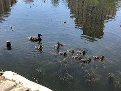 -前关湿地公园