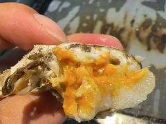 -苏格里岛自助烤肉海鲜火锅(成都金牛万达店)