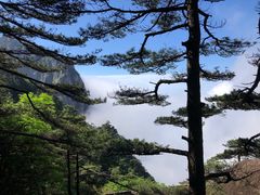 -黄山风景区