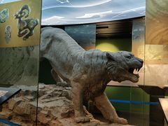 -鄂尔多斯青铜器博物馆