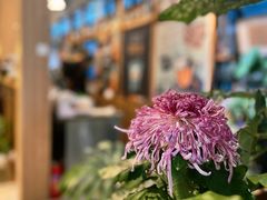-JRCAFE玖如空间