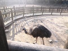 -南昌动物园