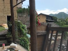-老鲍农家乐