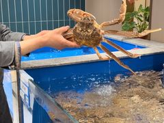 -帝皇海海鲜豆捞(桐泾商务广场店)