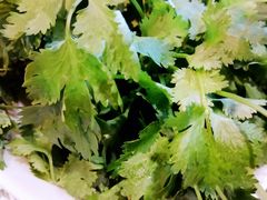 -那片草原火锅