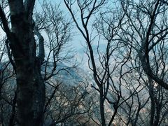 -灵山