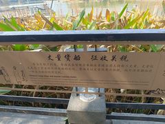 -黄埔古港