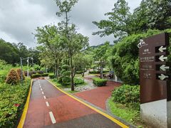 -梧桐山风景名胜区