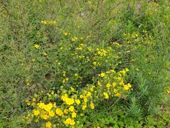 -百里峡七彩艺术小镇