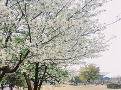 -成都中医药大学(温江校区)