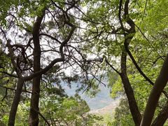 -北京上方山国家森林公园