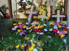 -溪岸路花鸟市场