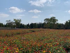 -同里国家湿地公园
