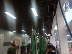 -海河游船-永乐码头(大悲院)