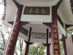 -宋井风景区