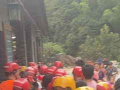 -将军关探险漂流