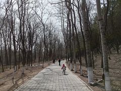 -云岗森林公园