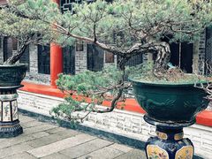 -佛山市祖庙博物馆