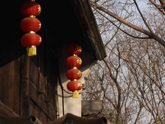 -西溪国家湿地公园