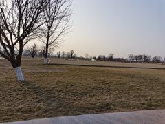 -汉长安城未央宫国家考古遗址公园