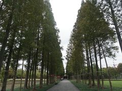 -歌斐颂巧克力小镇