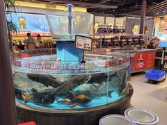 -魏铭鱼头捞饭(晋阳路店)