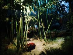 iphone_upload_pic-吉林省自然博物馆