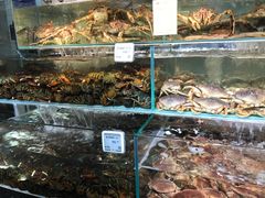 -超级物种(省府店)