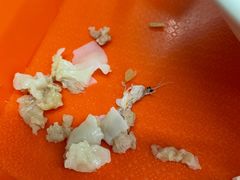 -金陵老丁家馄饨