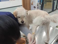 -中农大我爱我爱动物医院·核磁CT·猫病·24小时夜诊中心(石佛营店)