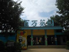 -百万葵园