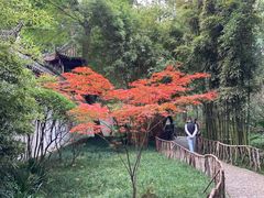 -成都杜甫草堂博物馆